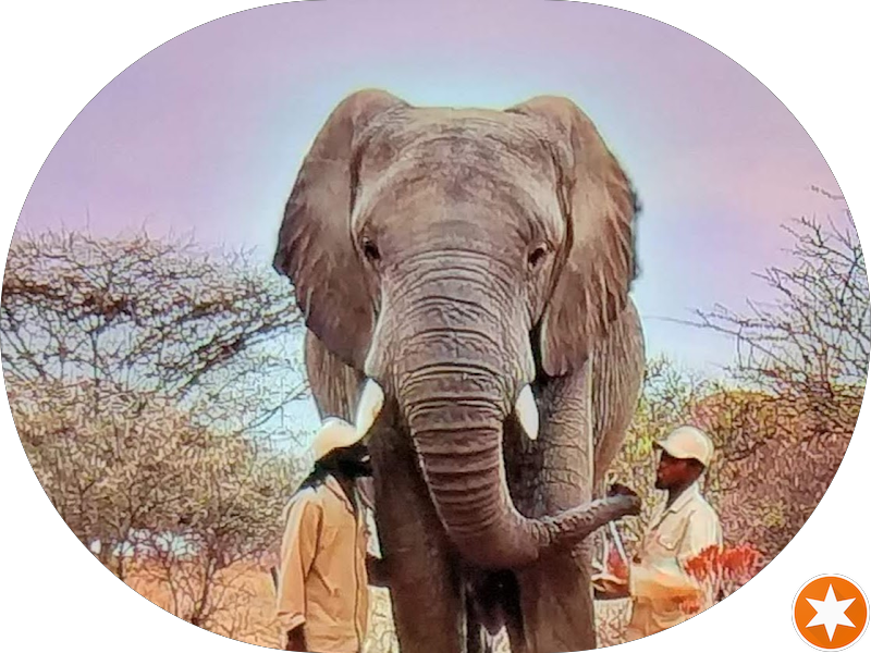 Foto 4 de Odontologia Dr. Rogério Mengarda