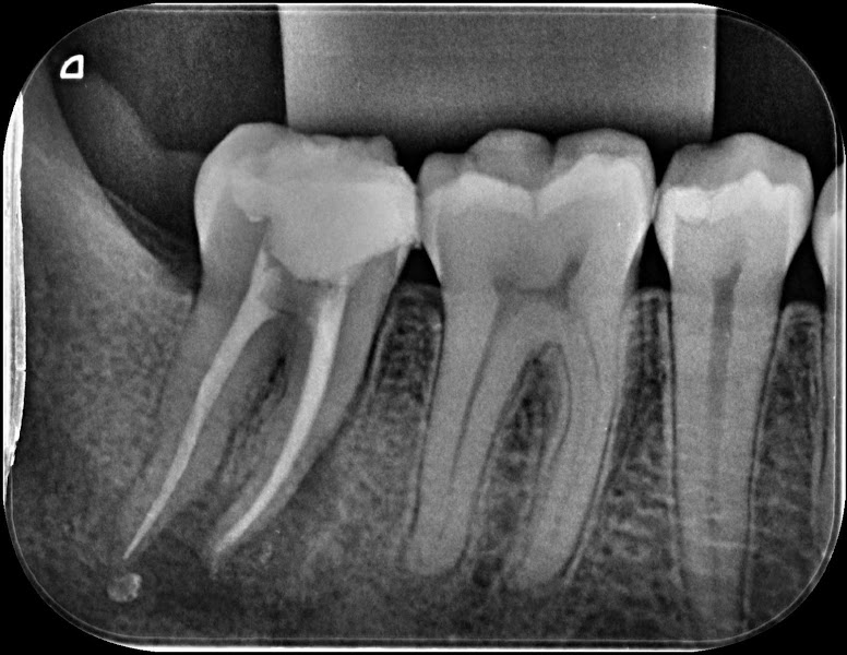 Foto 3 de Odontologia Dra Aisla Lucena