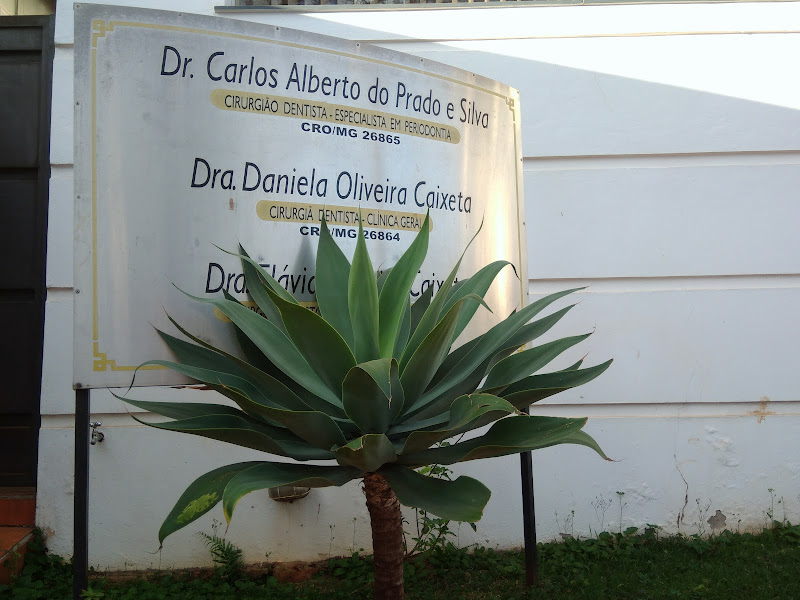 Foto 2 de Odontologia Dra. Flávia