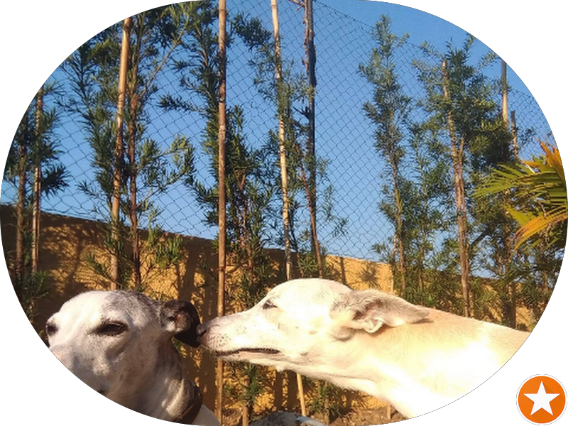 Foto 2 de Odontologia Dra Patrícia von Zuben Parsekian