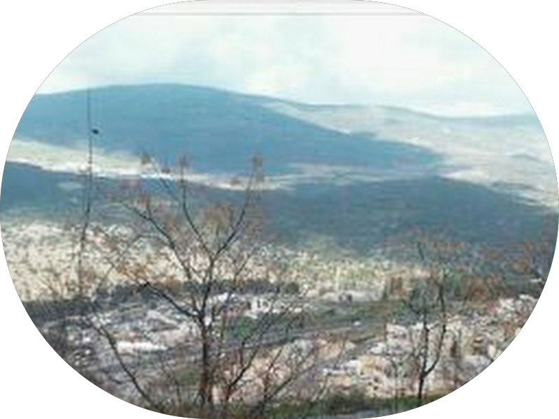 Foto 2 de Odontologia Especializada Dr. Flávio Napoleão