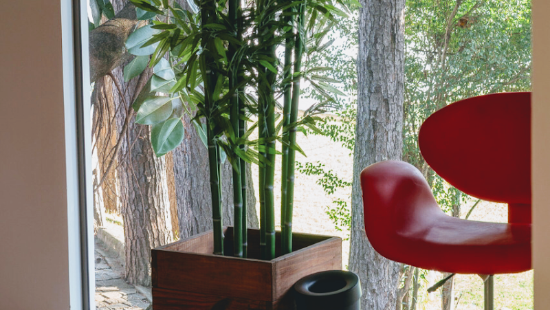 Foto 3 de Odontologia Flavia Smolareck