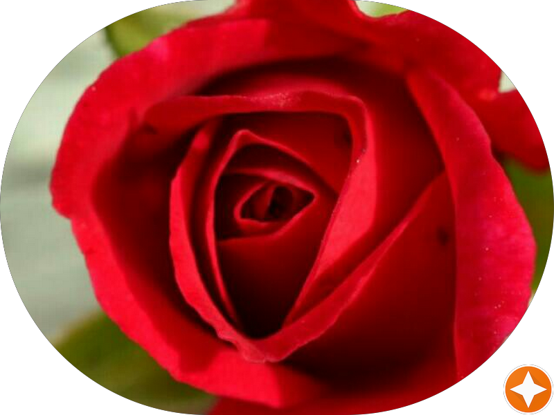 Foto 3 de Odontologia Guanabara