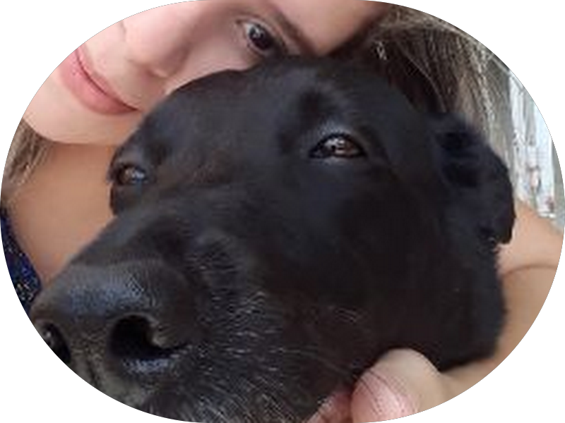 Foto 3 de Odontologia Labonto