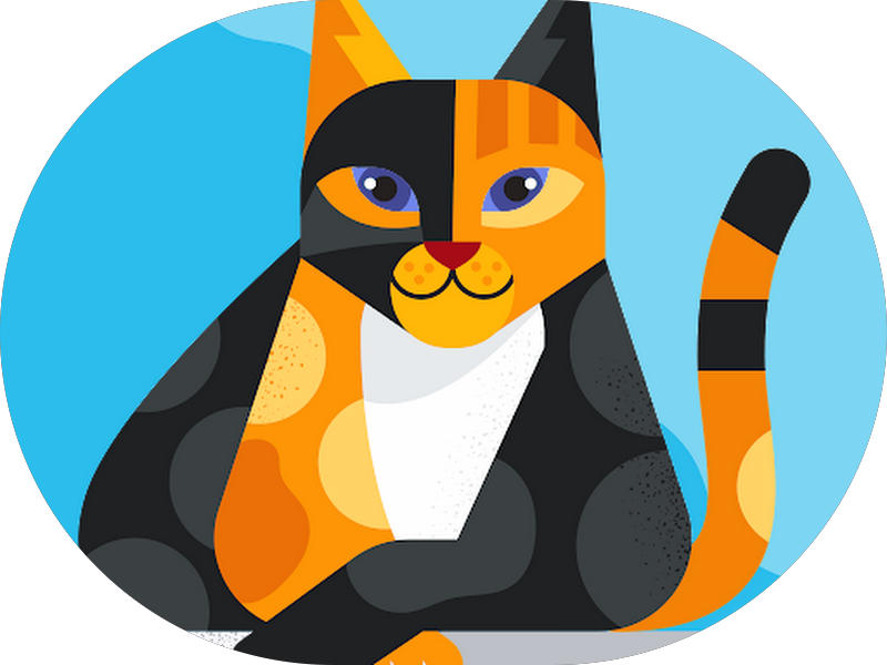 Foto 4 de Odontologia Morimoto