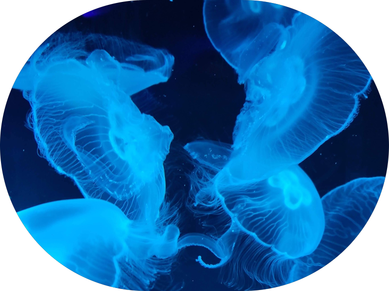 Foto 6 de Odontologia Narimatsu