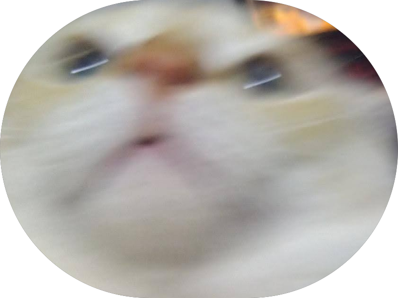 Foto 5 de Odontologia Nogueira