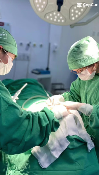 Foto 3 de Odontologia para Pacientes com Necessidades Especiais - Santa Maria | Placa Palatina de Memória| Sedação | Daniela Flores