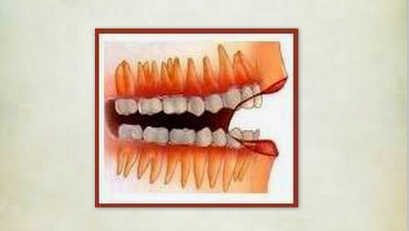 Foto 3 de Odontologia Poletine