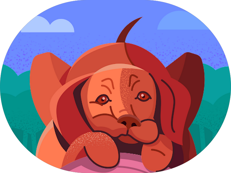 Foto 7 de Odontologia Sorriso Maior - Casa Verde/SP