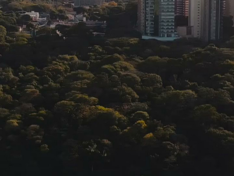 Foto 4 de Odontologia Tuler - Lentes de Contato Dental e Implantes