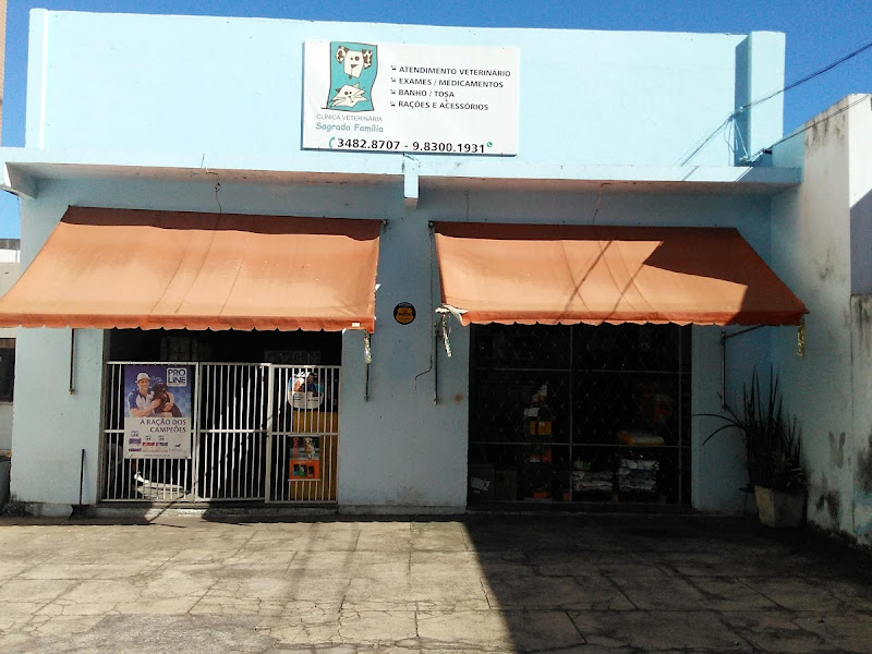 Foto 2 de Odontologia Veterinária