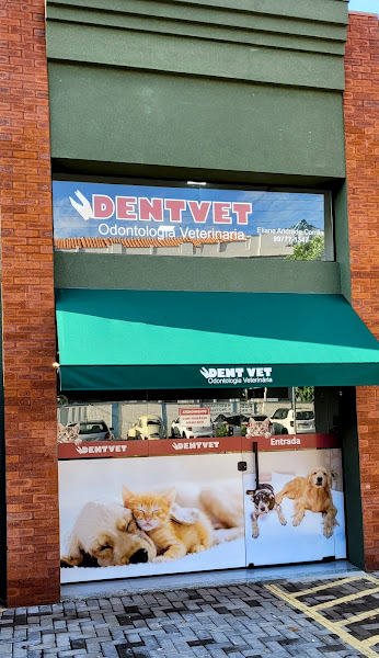 Foto 2 de ODONTOLOGIA VETERINÁRIA DENT VET