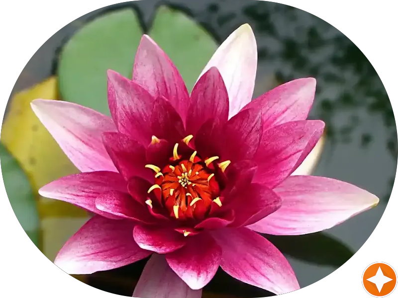 Foto 5 de Odontolounge Clínica Especializada