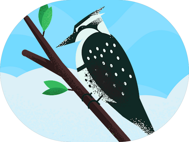 Foto 7 de Odontomais Limão