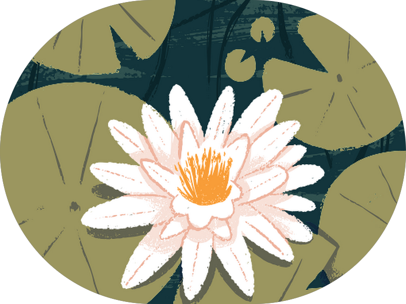 Foto 3 de Odontomil Implantes - Guarujá