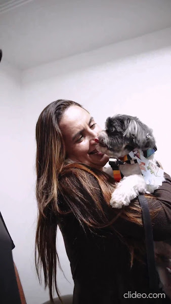 Foto 3 de Odontopatas- Odontologia Veterinária