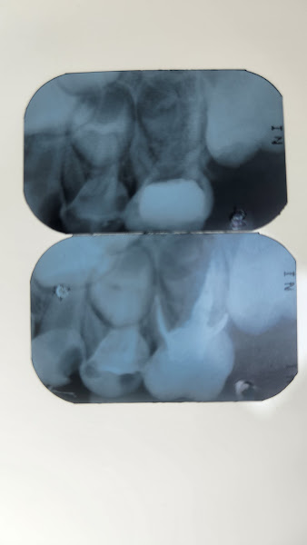 Foto 2 de Odontopediatra Dra. Simone Guadagnin