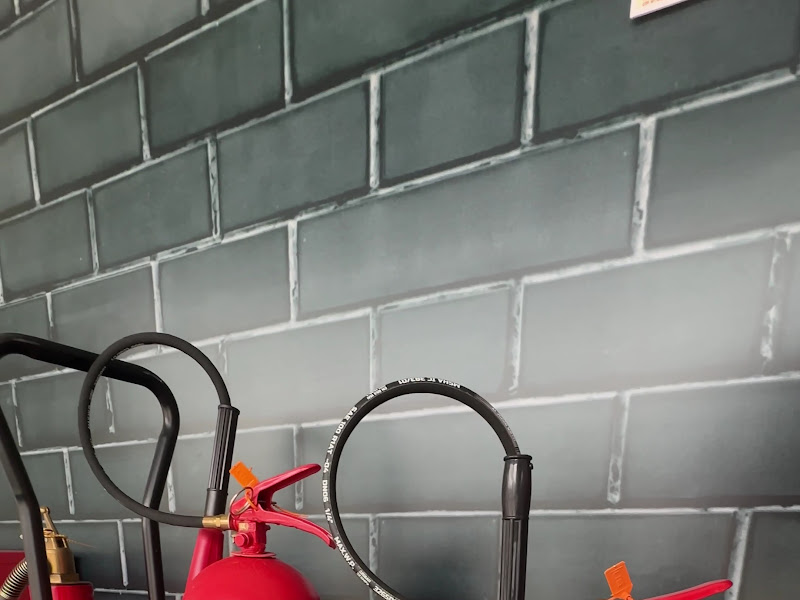 Foto 2 de Odontopediatria