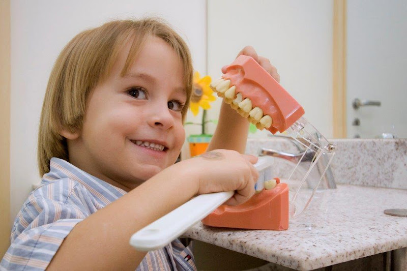 Foto 2 de Odontopediatria em Brasília DF - Dra Cecília Abrahão