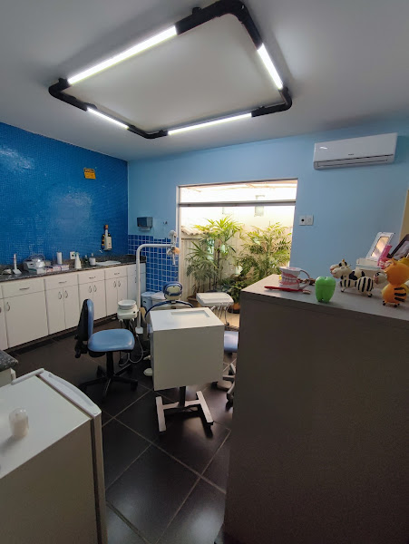 Foto 2 de Odontopediatria - Odontologia para Bebês