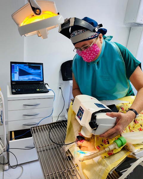 Foto 2 de Odontopetvet