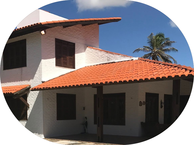 Foto 5 de Odontopetvet