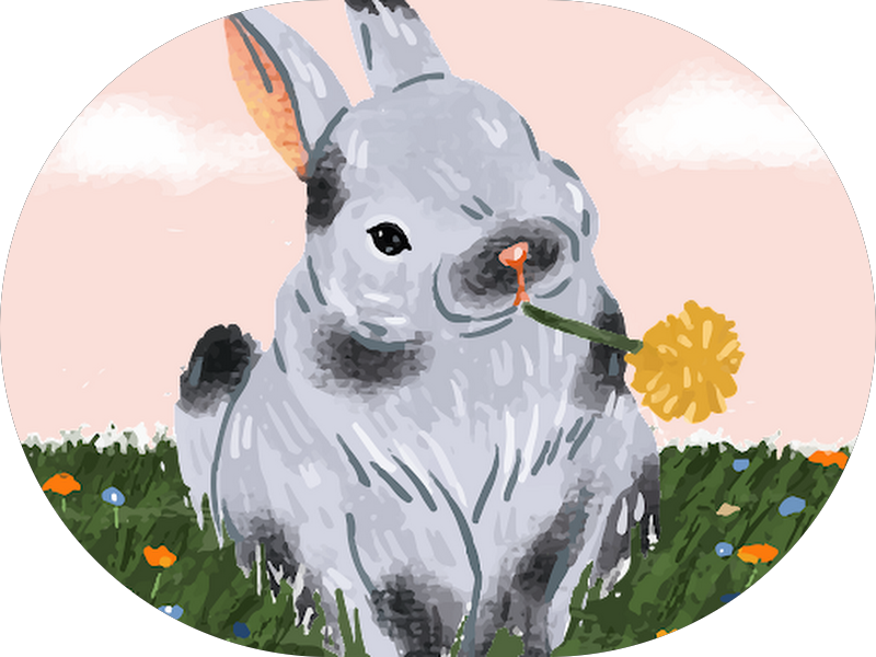 Foto 6 de Odontorriso Odontologia