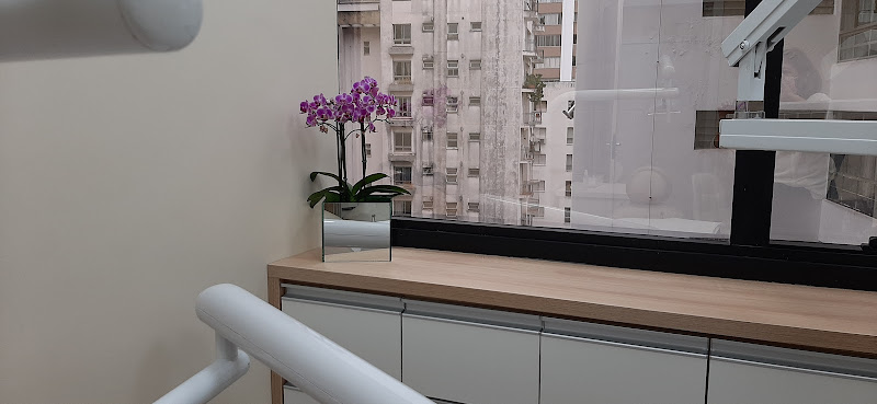 Foto 2 de OdontoSil - Dra. Silvia Regina Henrique