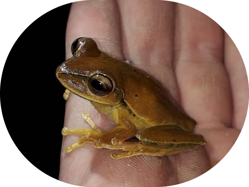 Foto 4 de Odontosul Clínica Odontológica