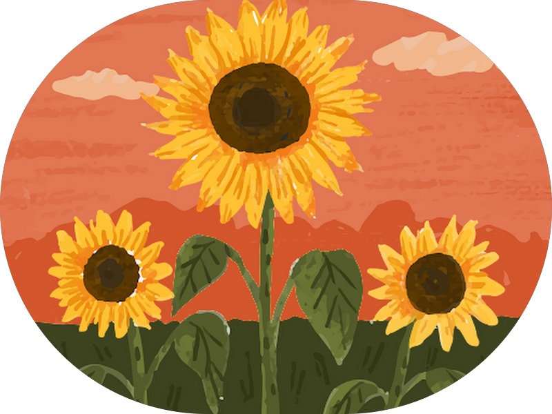 Foto 5 de OdontoTop Balneário Camboriú