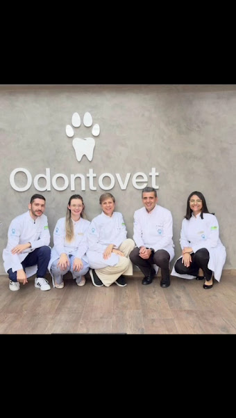 Foto 7 de Odontovet - Centro Odontológico Veterinário