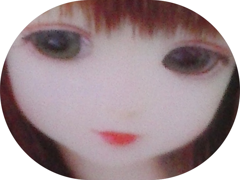 Foto 9 de Odontovet - Centro Odontológico Veterinário