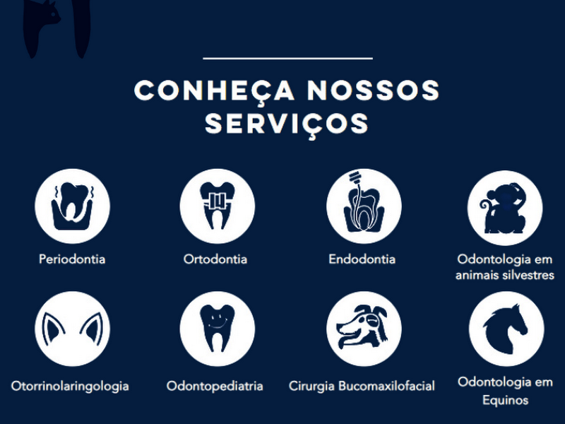 Foto 13 de Odontovet - Centro Odontológico Veterinário