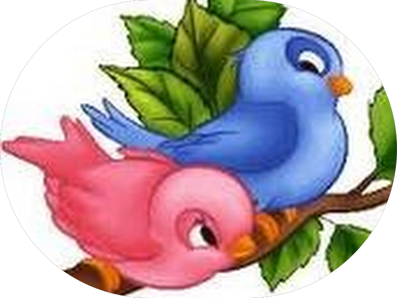 Foto 3 de Odontoville