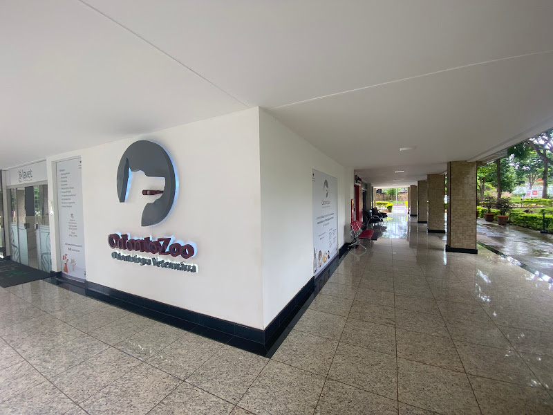 Foto 3 de OdontoZoo - Odontologia Veterinária