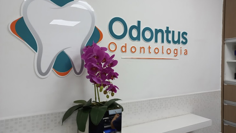 Foto 2 de Odontus M BOI MIRIM Odontologia
