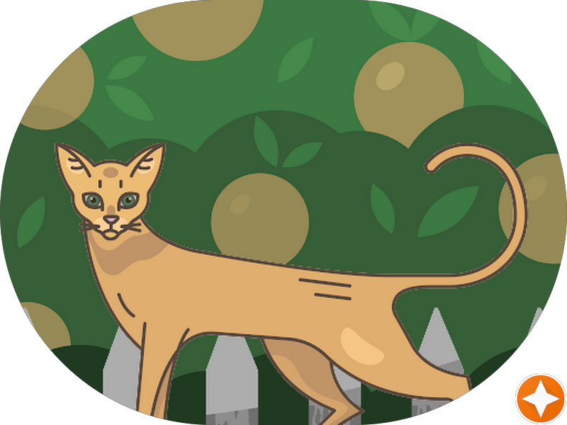 Foto 2 de OESP ODONTOLOGIA