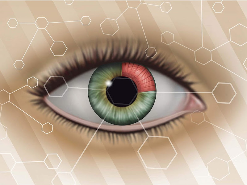 Foto 2 de Oftalmo Clínica - Dr. Claudio J. P. Rodriguez