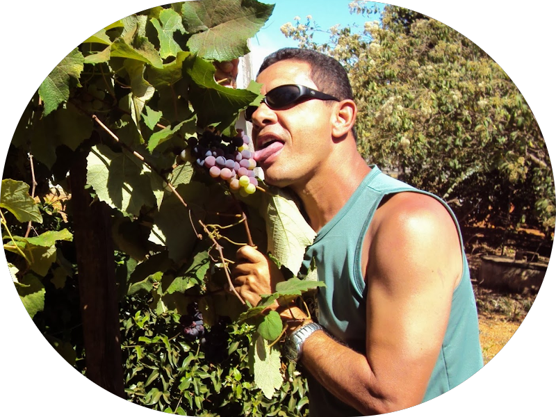 Foto 4 de One Odontologia Integrada