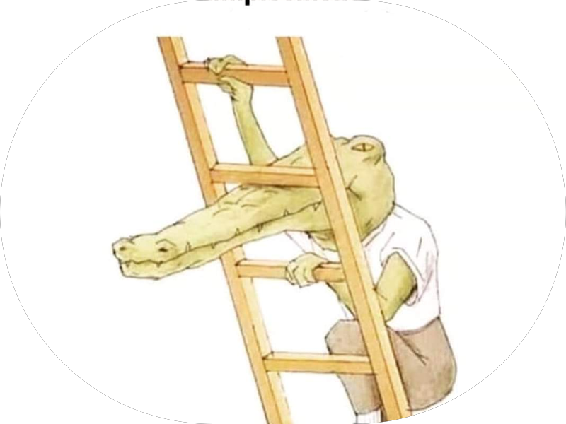 Foto 7 de OP Clínica Odontológica - Penha