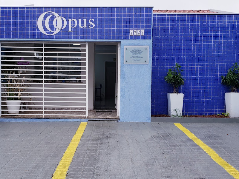 Foto 2 de Opus Odontologia