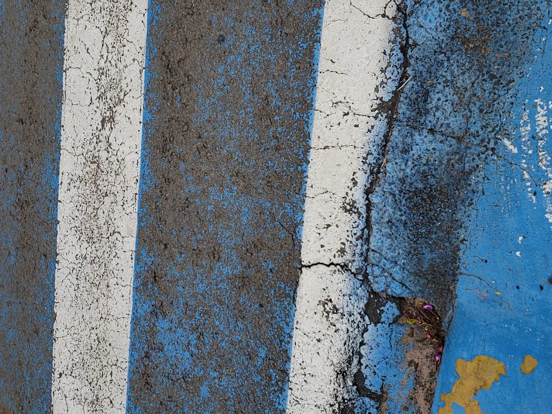 Foto 3 de Opus Odontologia