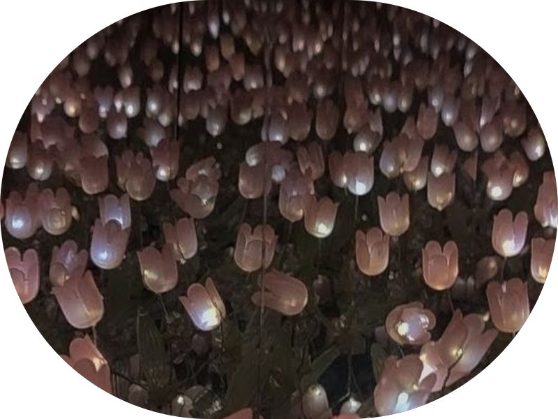 Foto 6 de Oral Centter Recife