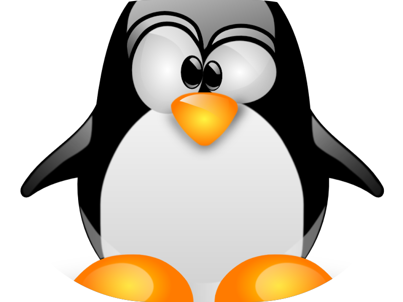 Foto 7 de Oral Clínica