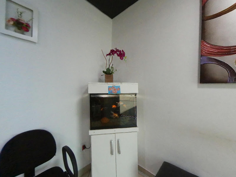 Foto 3 de Oral Prime Consultório Odontológico