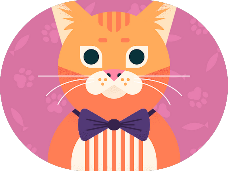 Foto 3 de Oral Safety