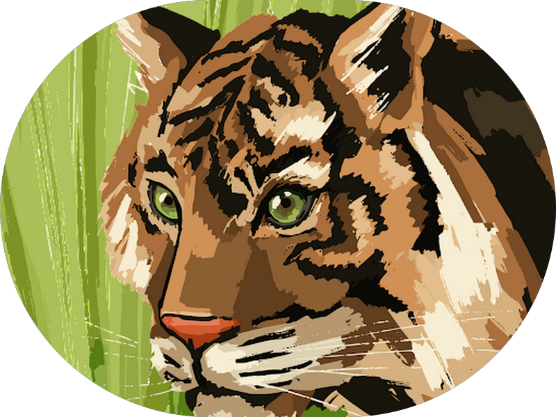 Foto 4 de Oral Saúde