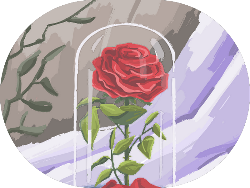 Foto 3 de Oral Sin Implantes Água Verde