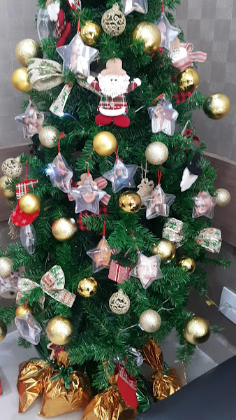 Foto 3 de Oral Sin Implantes Guarujá